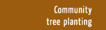 Community tree planting