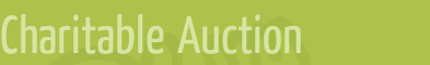 Charitable auction