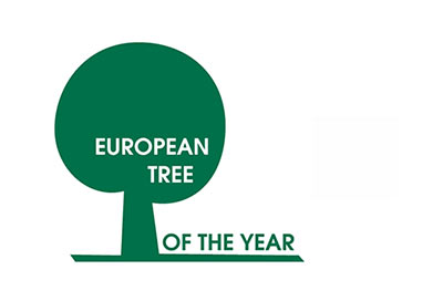 Elkezdődött az Európai év fája verseny